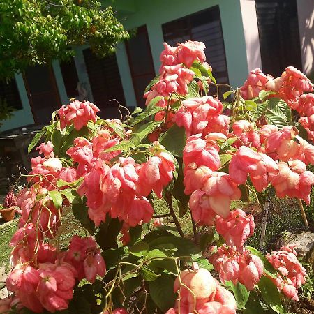Villy'S Cottage North End Dış mekan fotoğraf