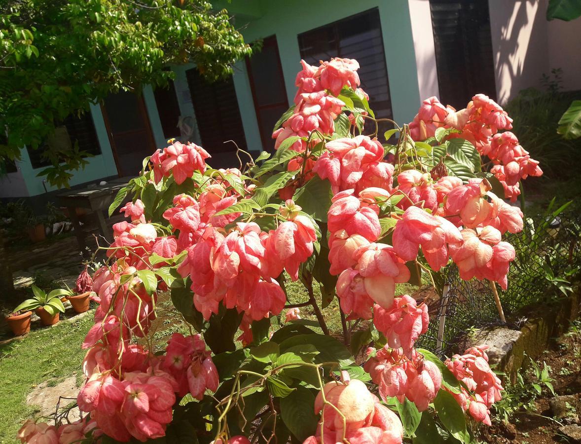 Villy'S Cottage North End Dış mekan fotoğraf